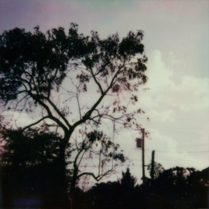 尻逼的动态图片
