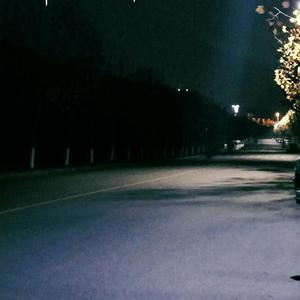 尻逼的动态图片
